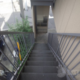 コズエペナテス相模台
