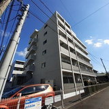 グリシーヌ