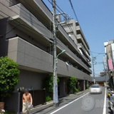 アムール森野