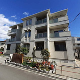 エヴァーグリーンIII