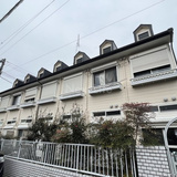 アップルハウスパピヨン