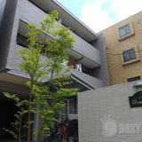 ドマーニ中央林間B棟