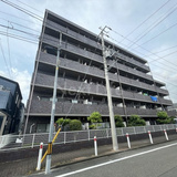 ポーロウニア千代田