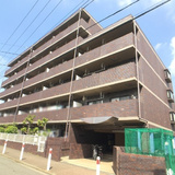 ポーロウニア千代田