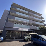 クアドリフォリエブルー