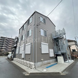 モンステラひばり