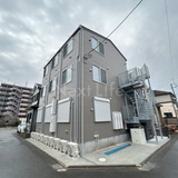 モンステラひばり