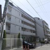 グリーンシンフォニー