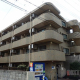 ランドフォレスト南林間IV