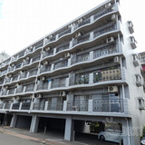 アルシヨン悠々