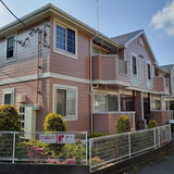 コモド ブリッサ