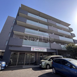 クアドリフォリエブルー