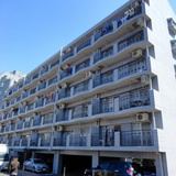 アルシヨン悠々