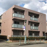 ameijia玉川学園