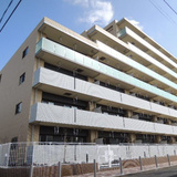 プルメリア