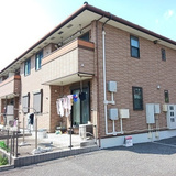 さくら