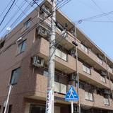 アメージングエステート