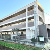 向日葵