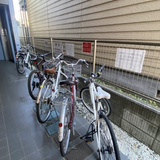 ハイネス藤