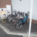 ヴィーナス